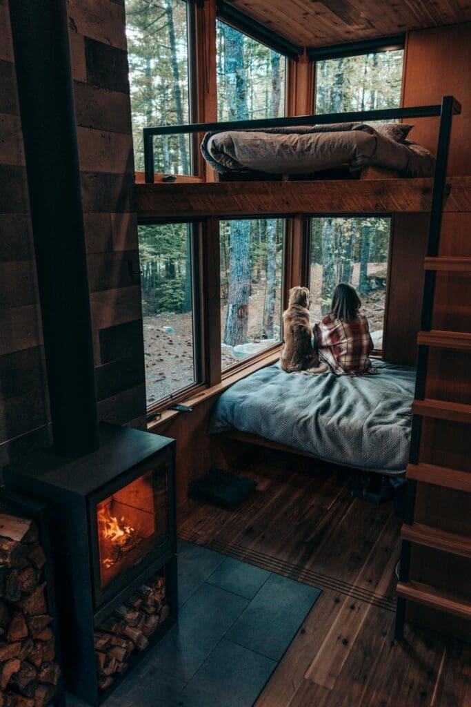 Woman and dog sitting on a bed looking out a cabin window surrounded by forest during a wellness retreat
